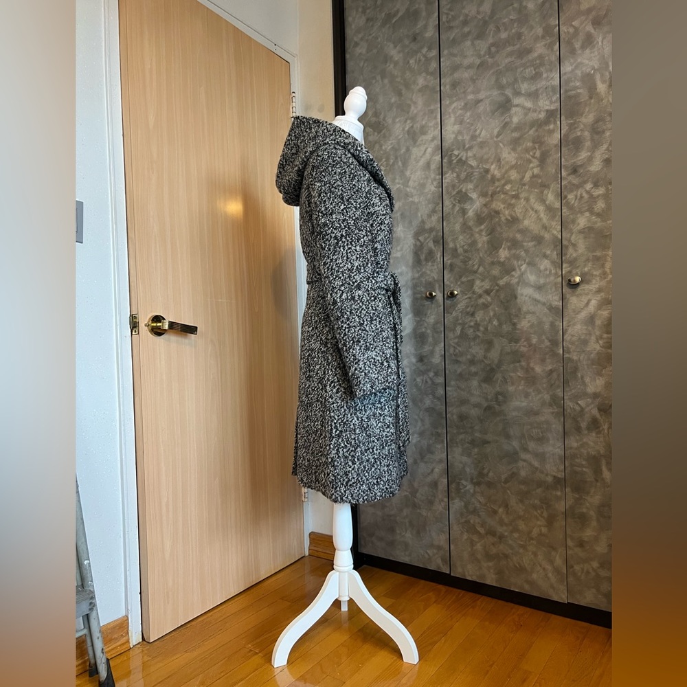 Gray Coat - image 6